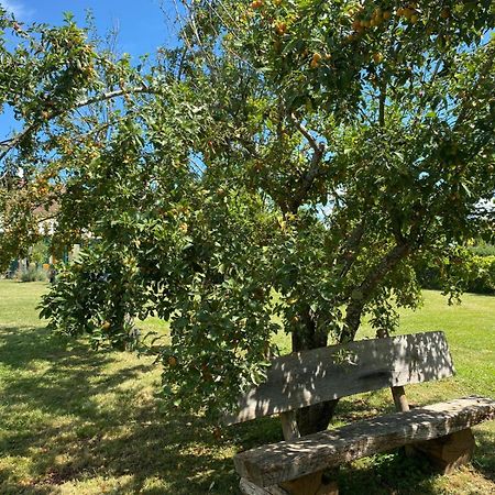 Les Feuilles Jaunes Chantenay-Saint-Imbert Bagian luar foto